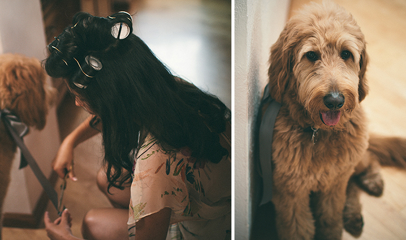 new york wedding photographer