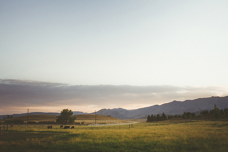 new york wedding photographer